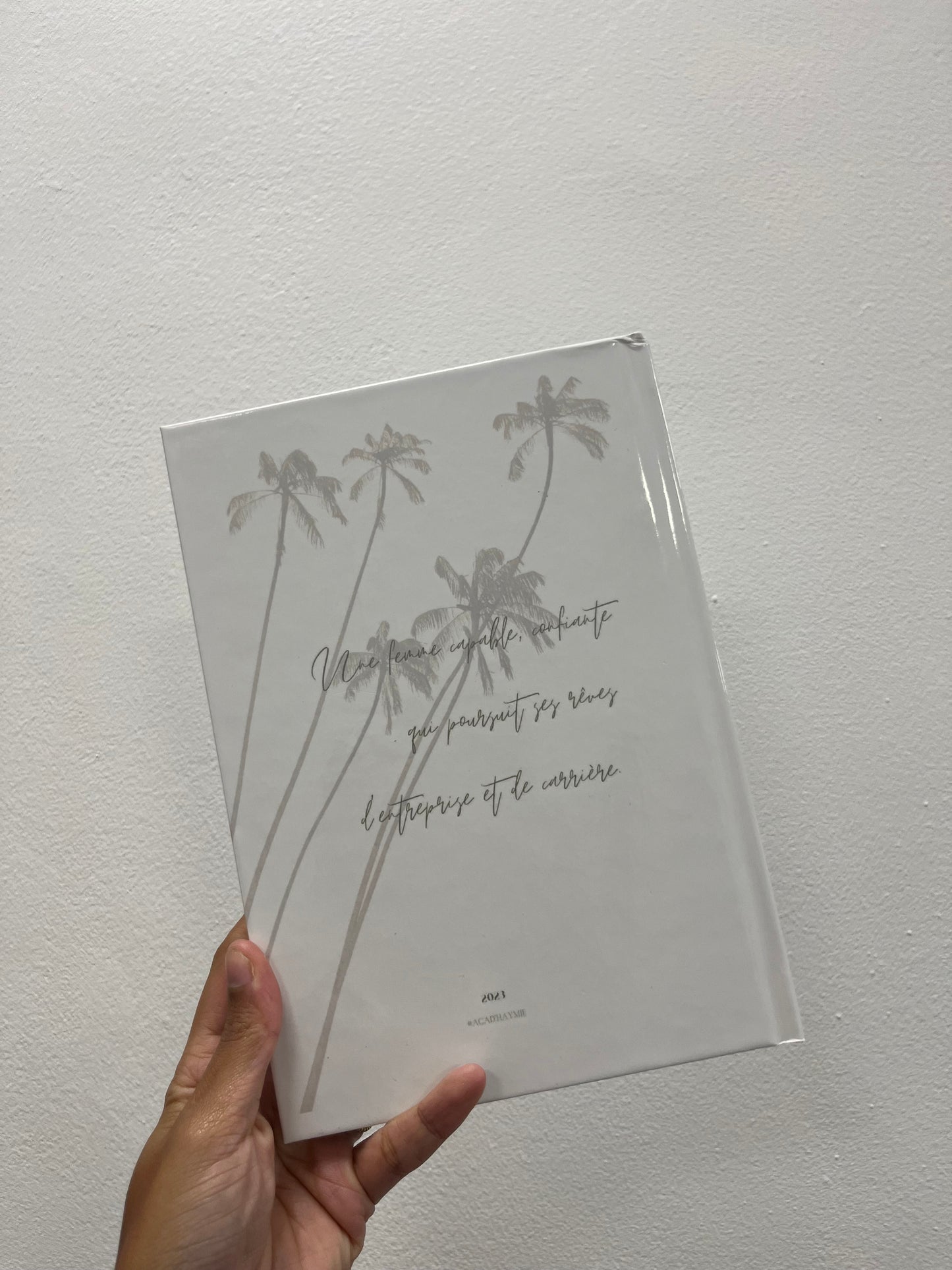 JOURNAL D'UNE GIRL BOSS